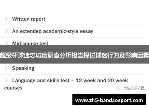 超级杯球迷忠诚度调查分析报告探讨球迷行为及影响因素