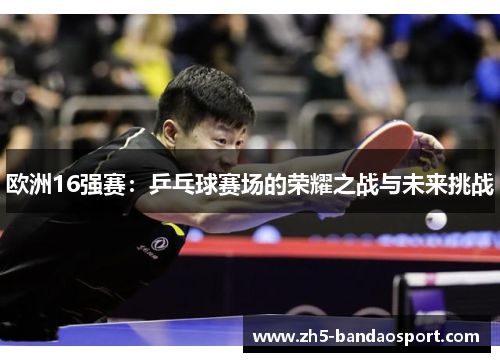 欧洲16强赛：乒乓球赛场的荣耀之战与未来挑战