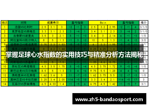 掌握足球心水指数的实用技巧与精准分析方法揭秘