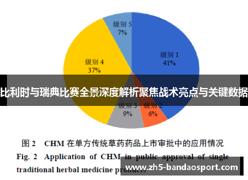 比利时与瑞典比赛全景深度解析聚焦战术亮点与关键数据