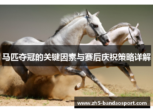 马匹夺冠的关键因素与赛后庆祝策略详解