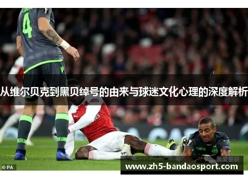 从维尔贝克到黑贝绰号的由来与球迷文化心理的深度解析 从维尔贝克到黑贝绰号的由来与球迷文化心理的深度解析