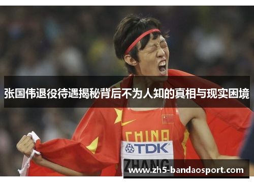 张国伟退役待遇揭秘背后不为人知的真相与现实困境